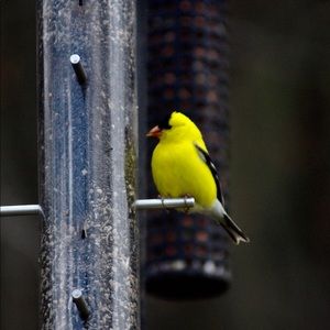 Meet your Posher, Julia